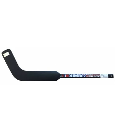 Support Plaque Déco Palet Joueur NHL Matthews