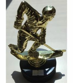 TROPHEE HOCKEYEUR Sur Palet 15CM