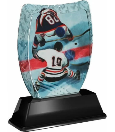 Trophée P.B. 2 Joueurs Engagement ACE2018 – Image 2